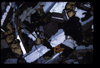XENO_08_09
