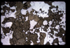 XENO_08_10