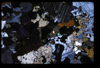 XENO_08_11