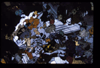 XENO_08_13