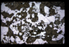 XENO_08_14