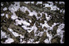 XENO_08_15