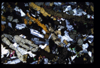 XENO_08_16