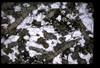 XENO_08_17