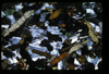 XENO_08_18
