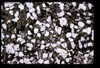 XENO_09_03