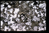 XENO_09_07