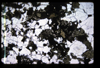 XENO_09_09