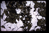 XENO_09_10
