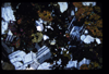 XENO_09_11