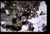 XENO_09_12