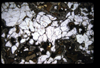 XENO_09_14