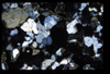 XENO_09_15