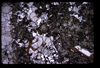 XENO_09_16