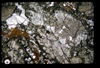 XENO_09_18