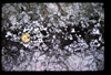 XENO_10_01