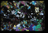 XENO_10_02