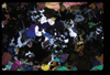 XENO_10_04