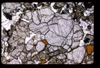 XENO_10_10