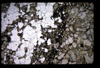 XENO_10_14