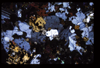 XENO_10_18