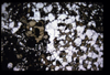 XENO_11_13