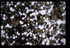 XENO_11_15