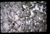 XENO_11_19
