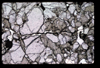 XENO_12_01