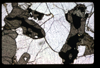XENO_12_07