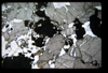 XENO_12_09