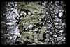 XENO_13_01