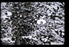 XENO_13_05