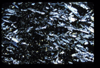 XENO_13_06