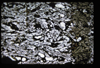 XENO_13_09