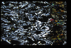 XENO_13_10