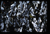 XENO_13_12