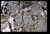 XENO_14_03