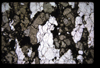XENO_14_08