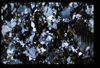 XENO_14_17