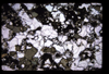 XENO_14_18