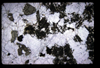 XENO_15_03