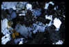XENO_15_04