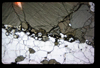 XENO_16_01