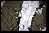 XENO_16_05
