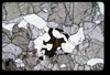 XENO_16_13