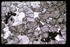 XENO_16_15