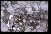 XENO_16_17
