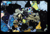 XENO_16_18