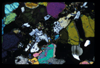 XENO_17_04